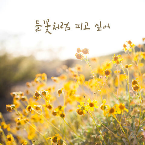 I long to bloom like a wildflower album art
