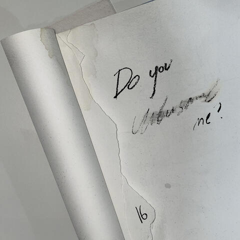 Do you understand me? album art
