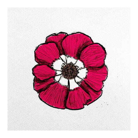 ANEMONE album art