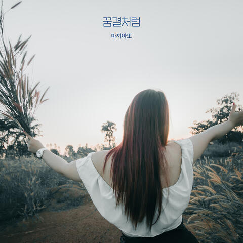 Like a dream album art