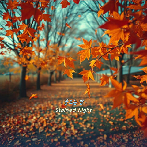 물드는 밤 album art