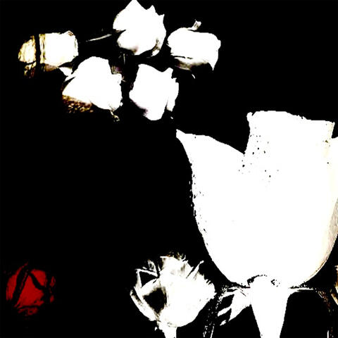 bottomout album art