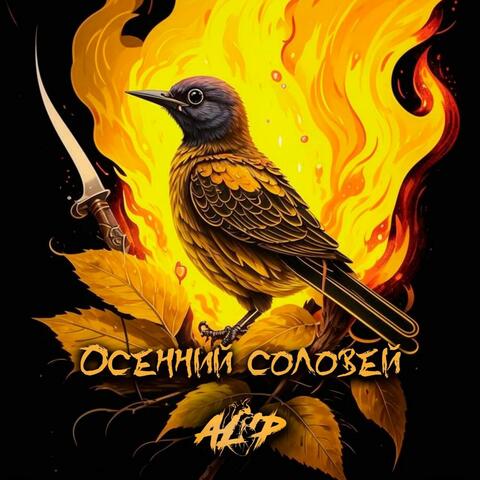 Осенний соловей album art