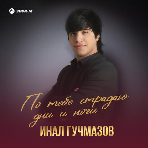 По тебе страдаю дни и ночи album art