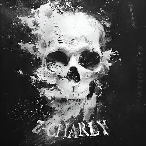 Z-CHARLY album art