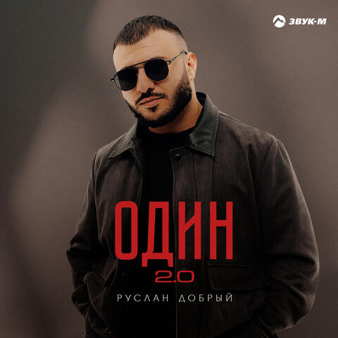 Один 2.0 album art