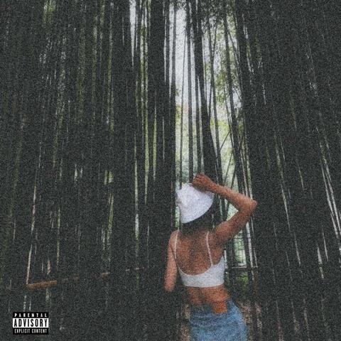 Незабываема album art