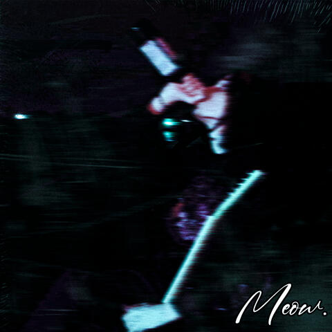 Meow. album art