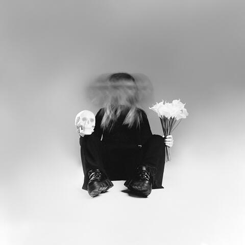 Нужно выбирать album art