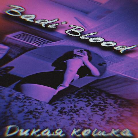 Дикая кошка album art