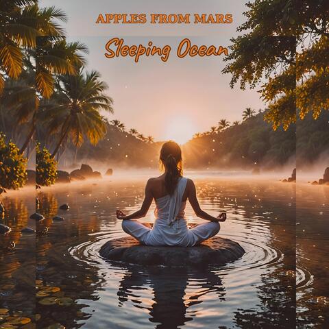 Sleeping Ocean album art