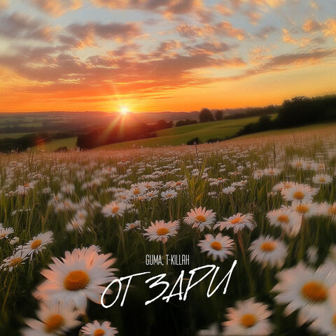 От зари album art