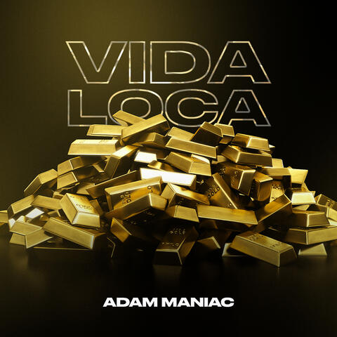 VIDA LOCA album art