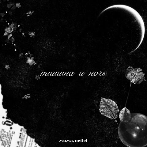 тишина и ночь album art