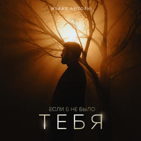 Если б не было тебя album art