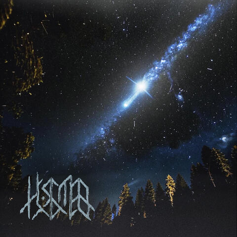 сны твоих летних ночей album art