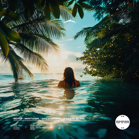 Take It Slow album art