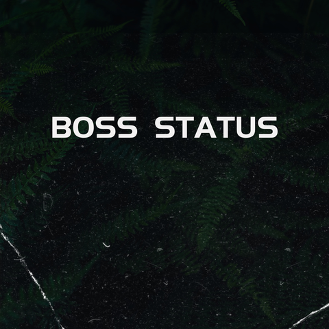 Boss Status album art