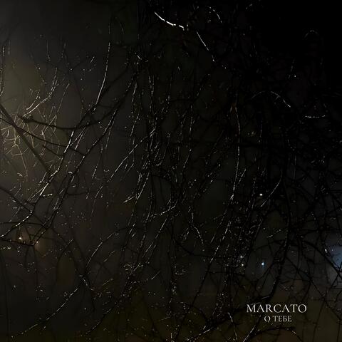 О Тебе album art