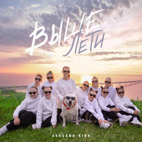 Выше лети album art