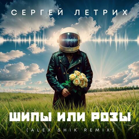 Шипы или розы (Alex Shik Remix) album art