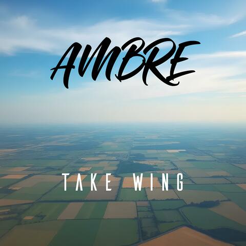 Take Wing album art