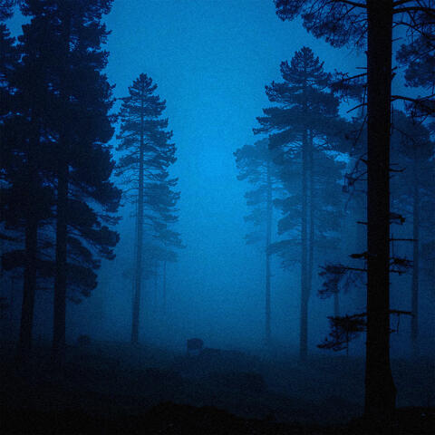 bluefog album art