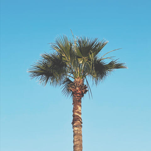 Ritmo album art
