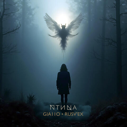 Птица album art