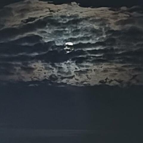 Вневесомости (feat. 1Paket) album art