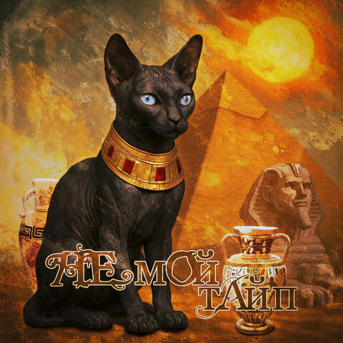 Не мой тайп! album art