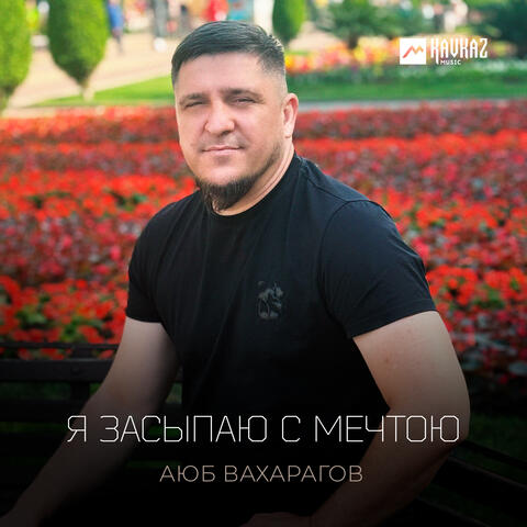 Я засыпаю с мечтою album art