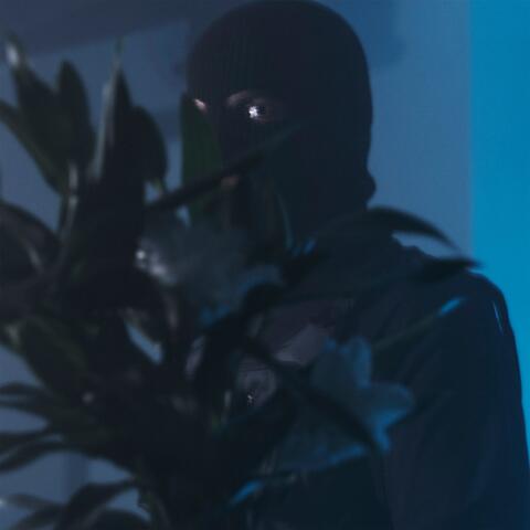 Лилии album art