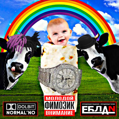 ЛАВАШ-ГОВЯДИНА album art