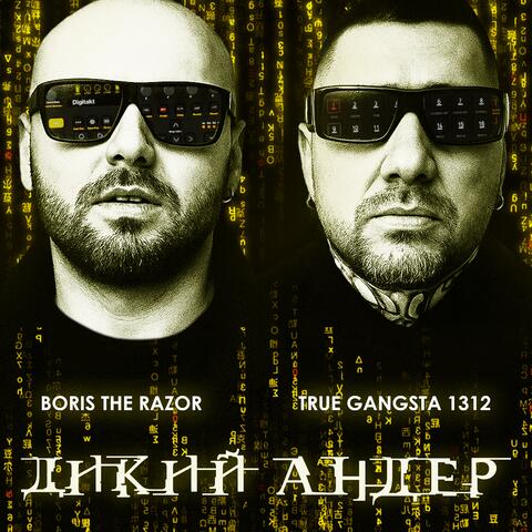 ДИКИЙ АНДЕР (feat. TRUE GANGSTA 1312) album art