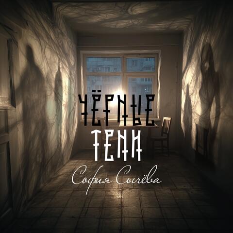 Чёрные тени album art