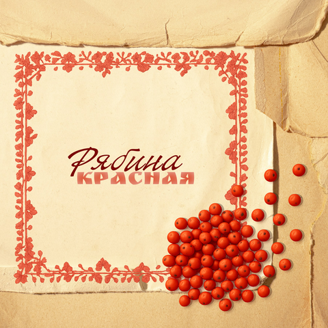 Рябина красная album art