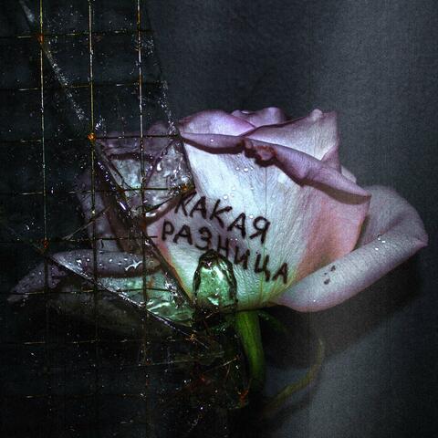 какая разница album art