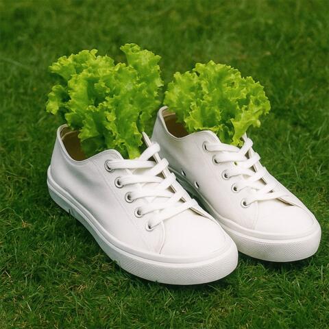 Кроссовки album art