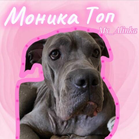 Моника топ album art