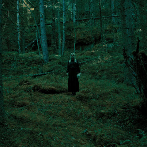 Безбрежье album art