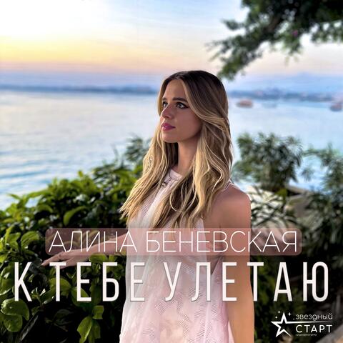 К тебе улетаю album art