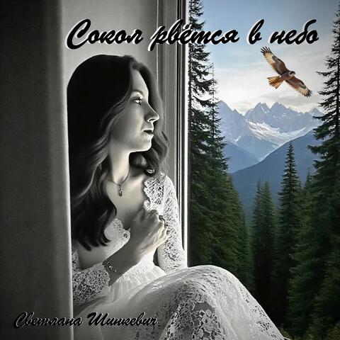 Сокол рвётся в небо album art