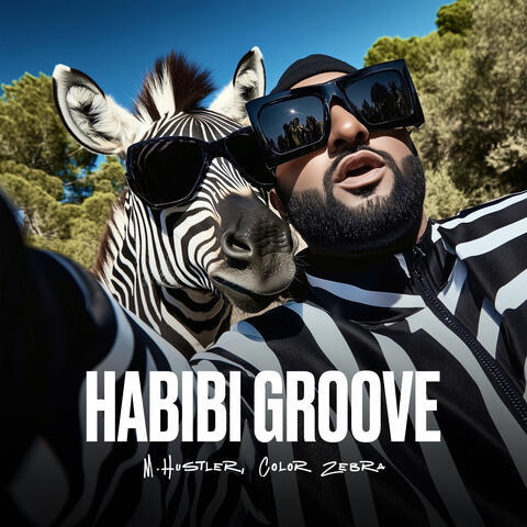 Habibi Groove album art