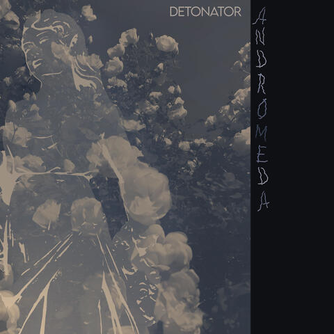 Andromeda album art