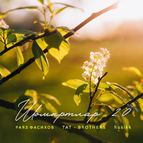 Шомыртлар 2.0 album art