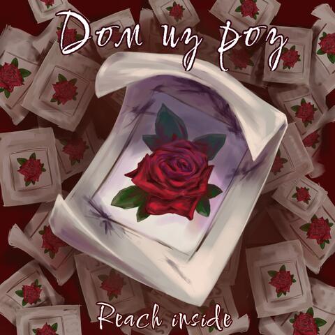 Дом из роз album art