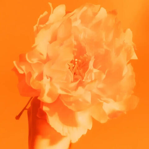 Юность album art