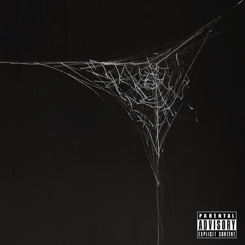 Не срывай album art