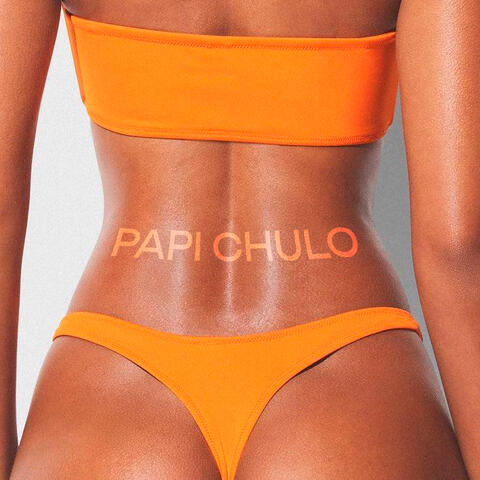 PAPI CHULO album art